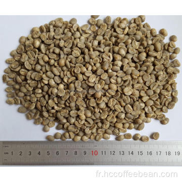 grains de café vert arabica